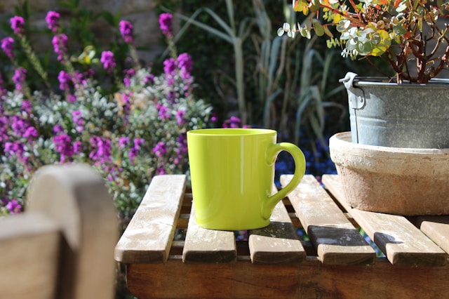Garden at Serenita ARBD care home
