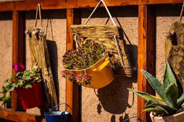 Hanging planters 