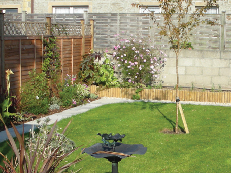 Garden at Stuart House